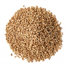 Пшеница яровая / пшеница озимая